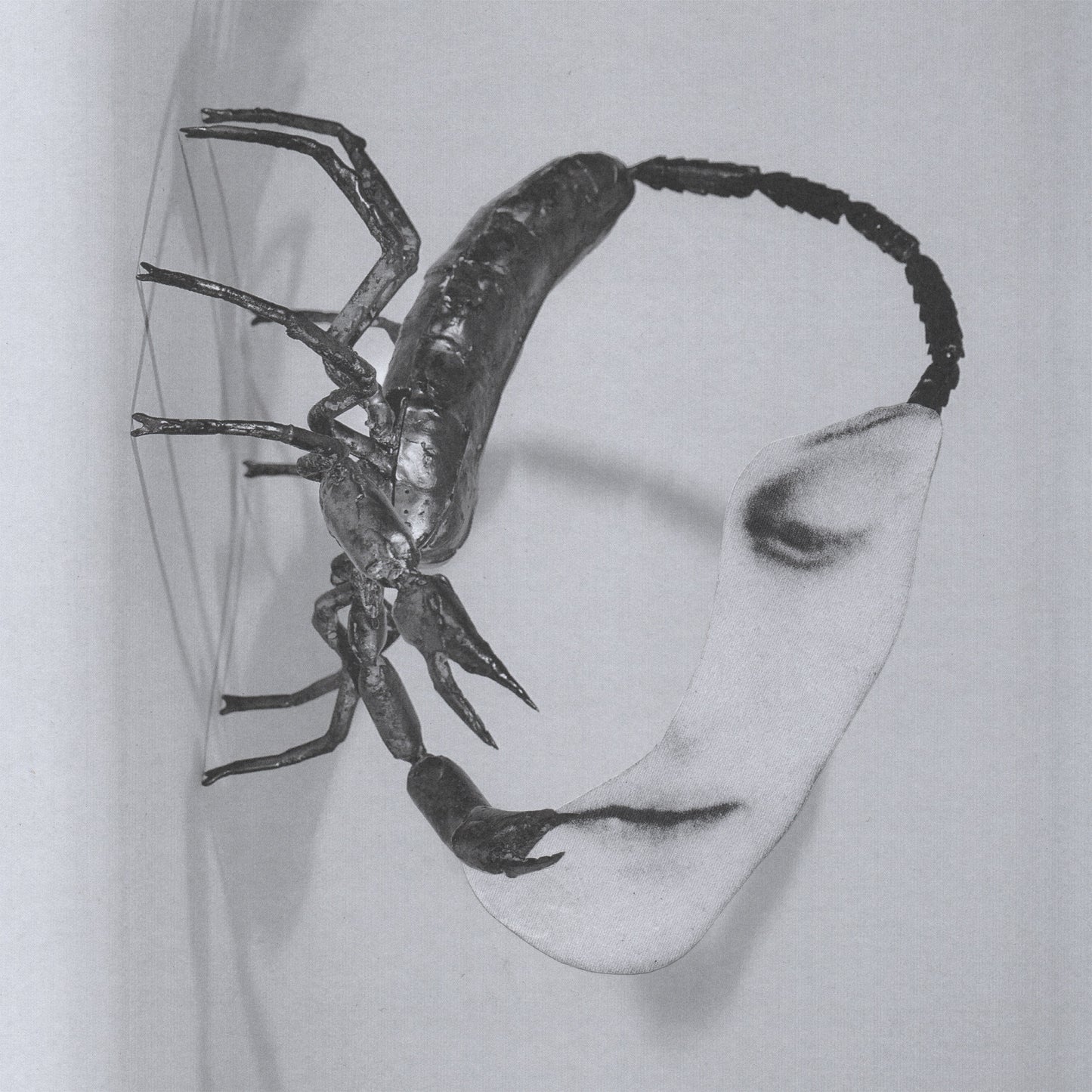 Tortoise 'Touch' LP