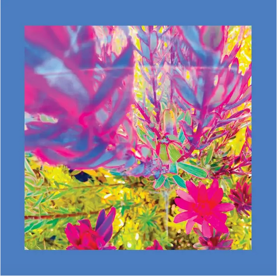 The Reds Pinks and Purples 'The Past is a Garden I Never Fed' LP