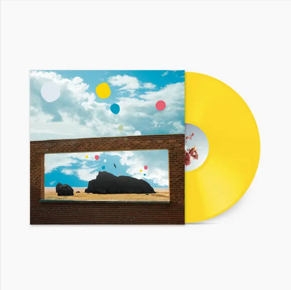 Admiral Fallow 'First Of The Birds' LP