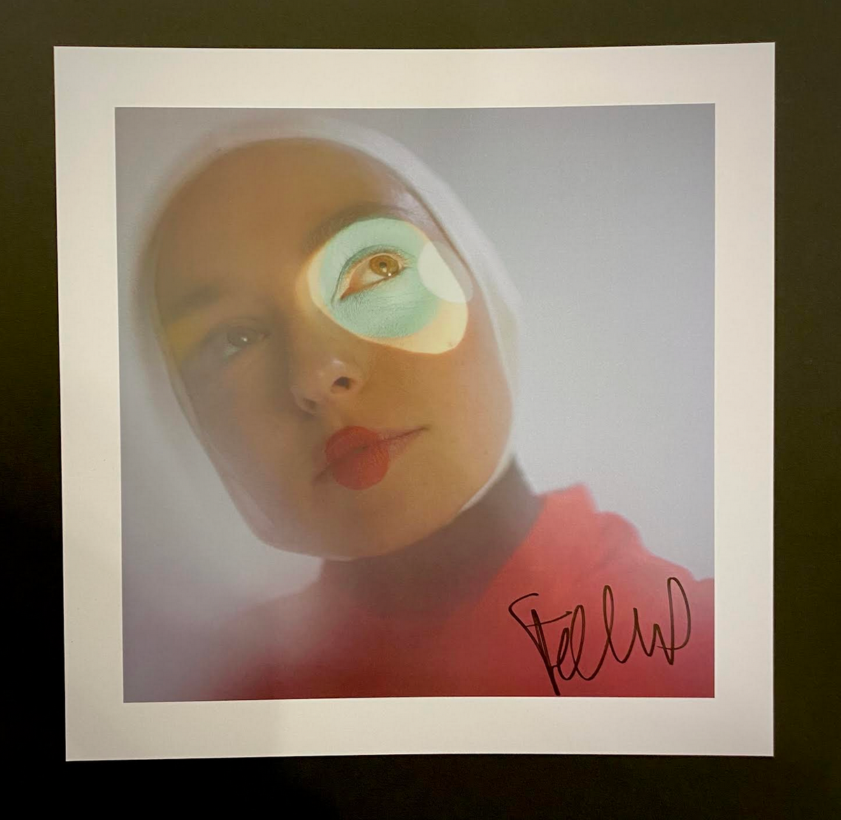 Stella Donnelly 'Flood' LP (W/ *SIGNED PRINT*)