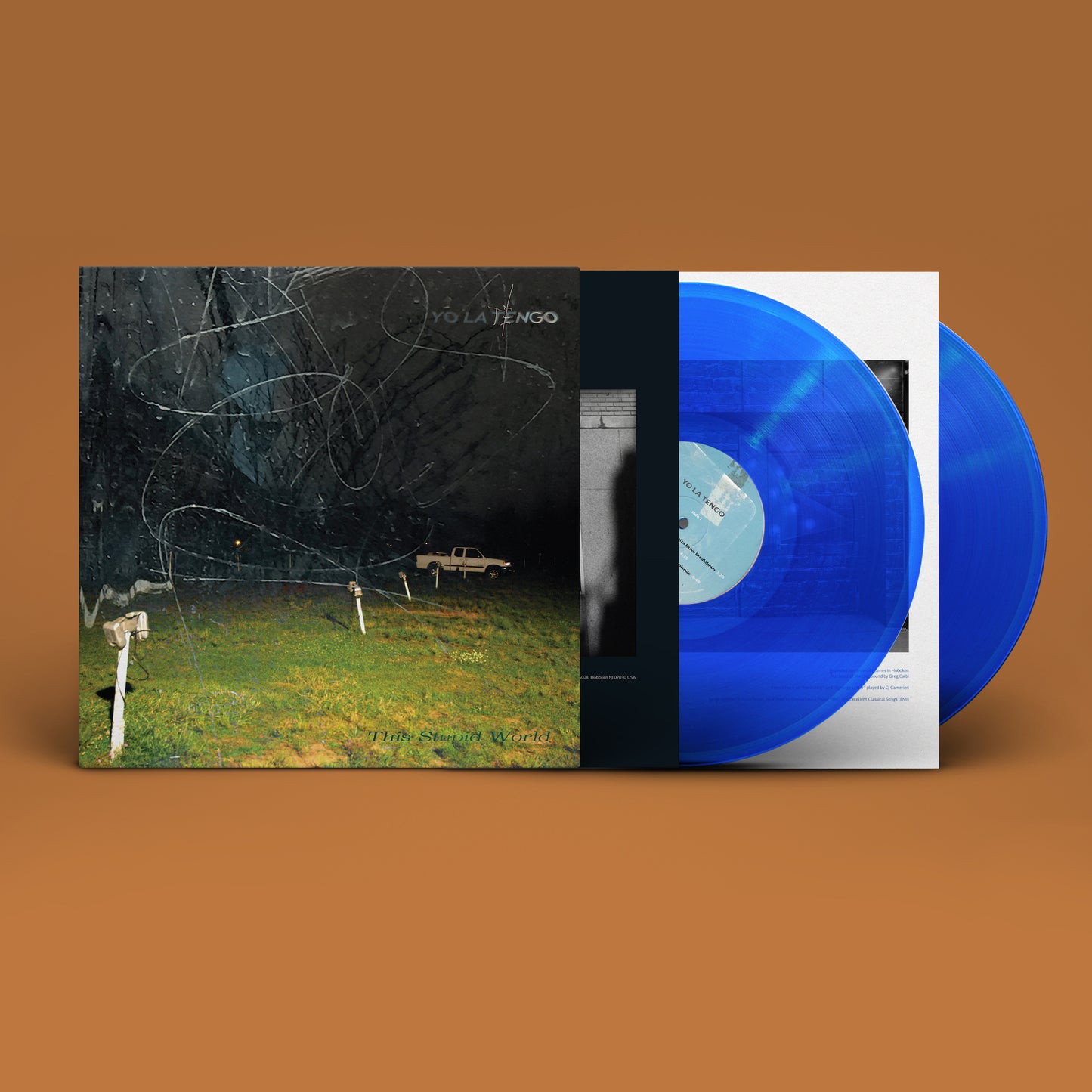 Yo La Tengo 'This Stupid World' 2xLP