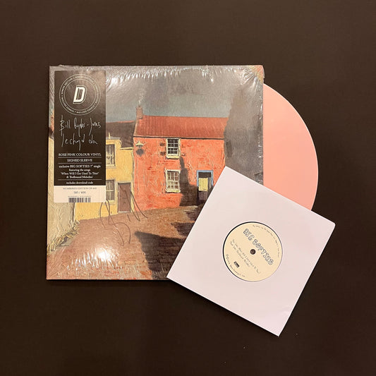 Bill Ryder-Jones ‎– Iechyd Da LP (*USED*)