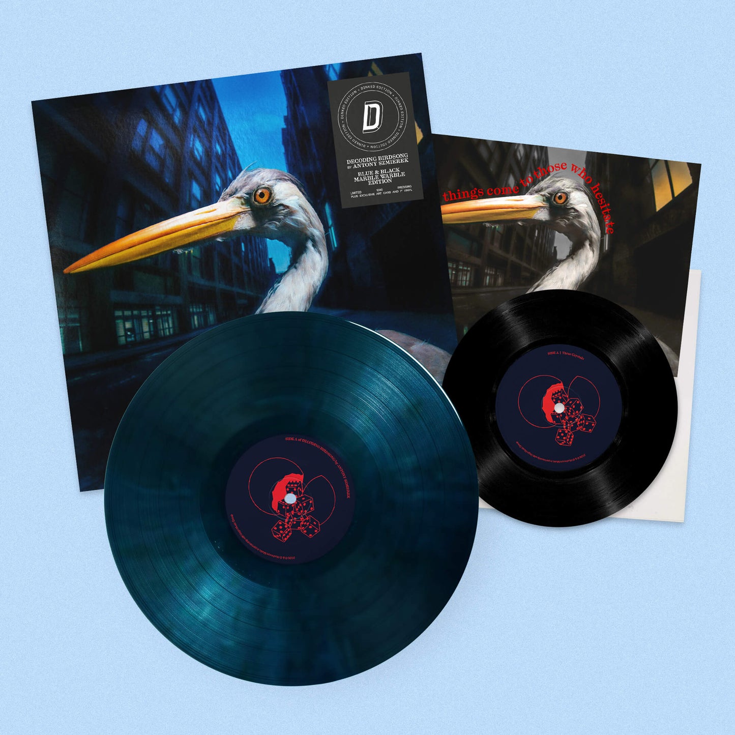 Antony Szmierek 'Decoding Birdsong' LP