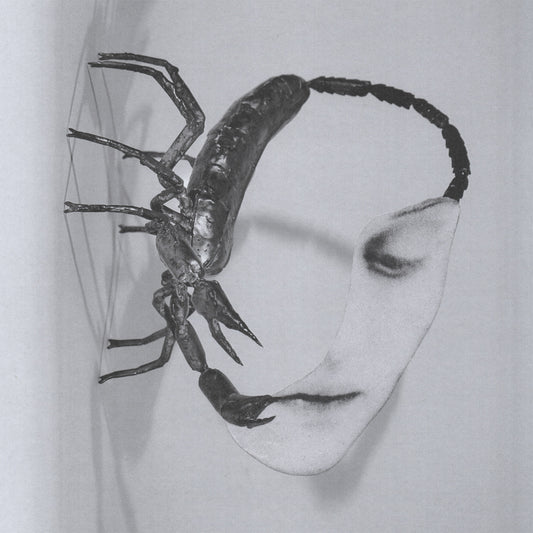 Tortoise 'Touch' LP