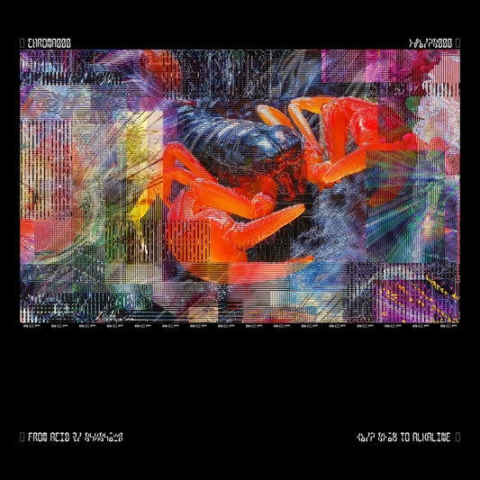 Bicep 'Chroma' 2xLP