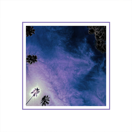 Look Outside Your Window 'Look Outside Your Window' LP