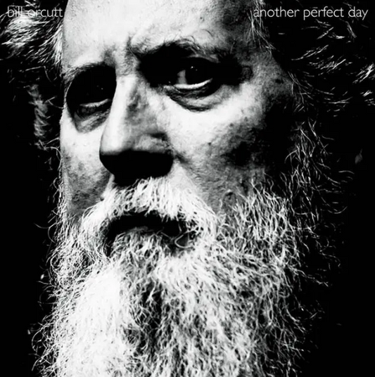 Bill Orcutt Another Perfect Day LP