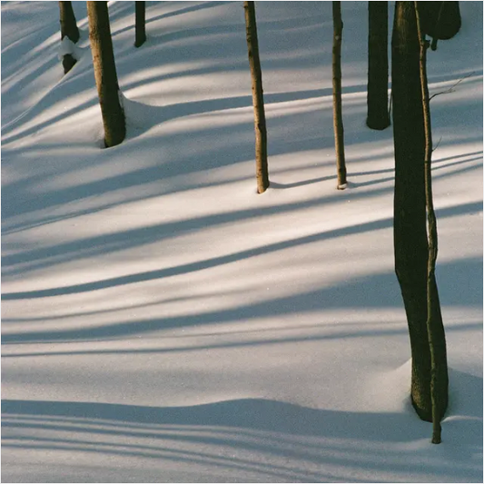 Isabel Pine 'Fables' LP