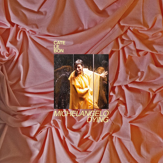 Cate Le Bon 'Michelangelo Dying' LP