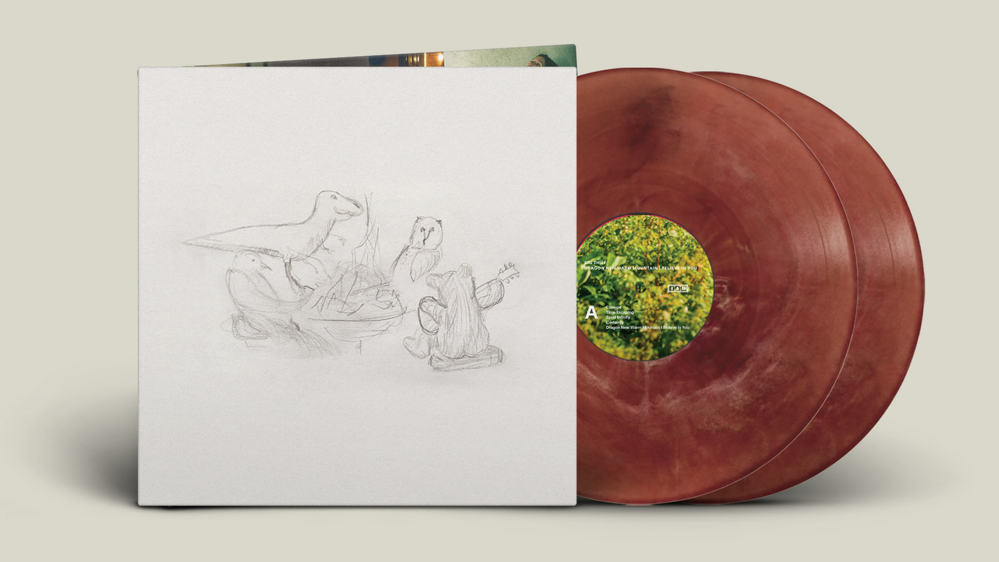 Big Thief 'Dragon New Warm Mountain I Believe In You' 2xLP